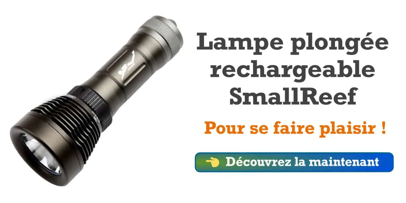 Lampe plongée rechargeable SmallReef