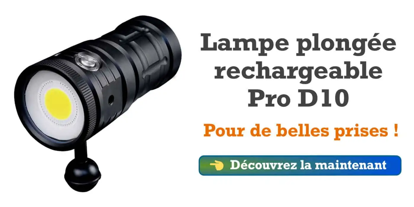 Lampe plongée sous marine rechargeable pro D10