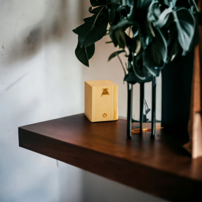 Lampe de table Bjorli posée sur une étagère en bois massif