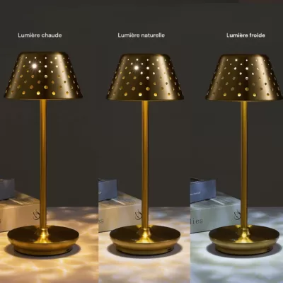 Lampe à poser sans fil rechargeable or Tania-5