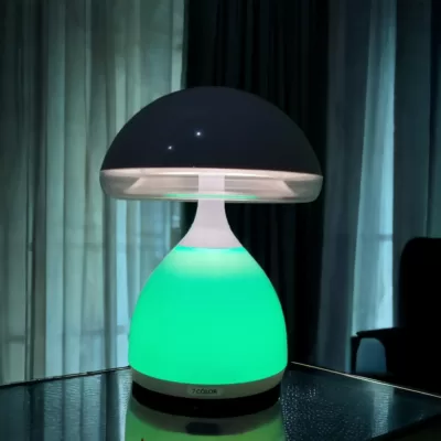Lampe de table rechargeable ambiance Masha-2