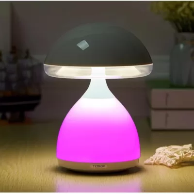 Lampe de table rechargeable ambiance Masha-3