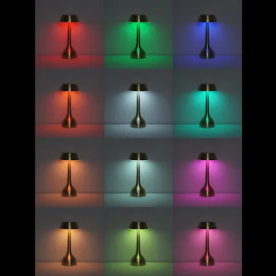 Lampe de table rechargeable colorée MP-21C2-6