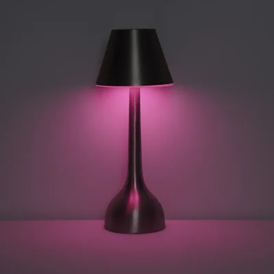 Lampe de table rechargeable stylée MP-21C1-2