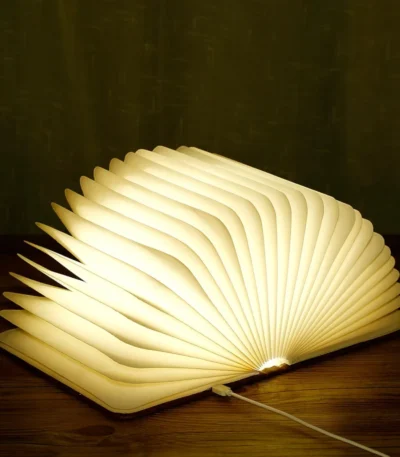 Lampe Livre LED Rechargeable Pliable-1